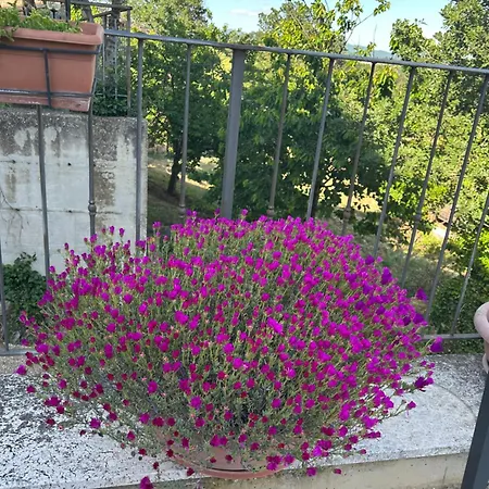 Saturnia Venkovský dům *